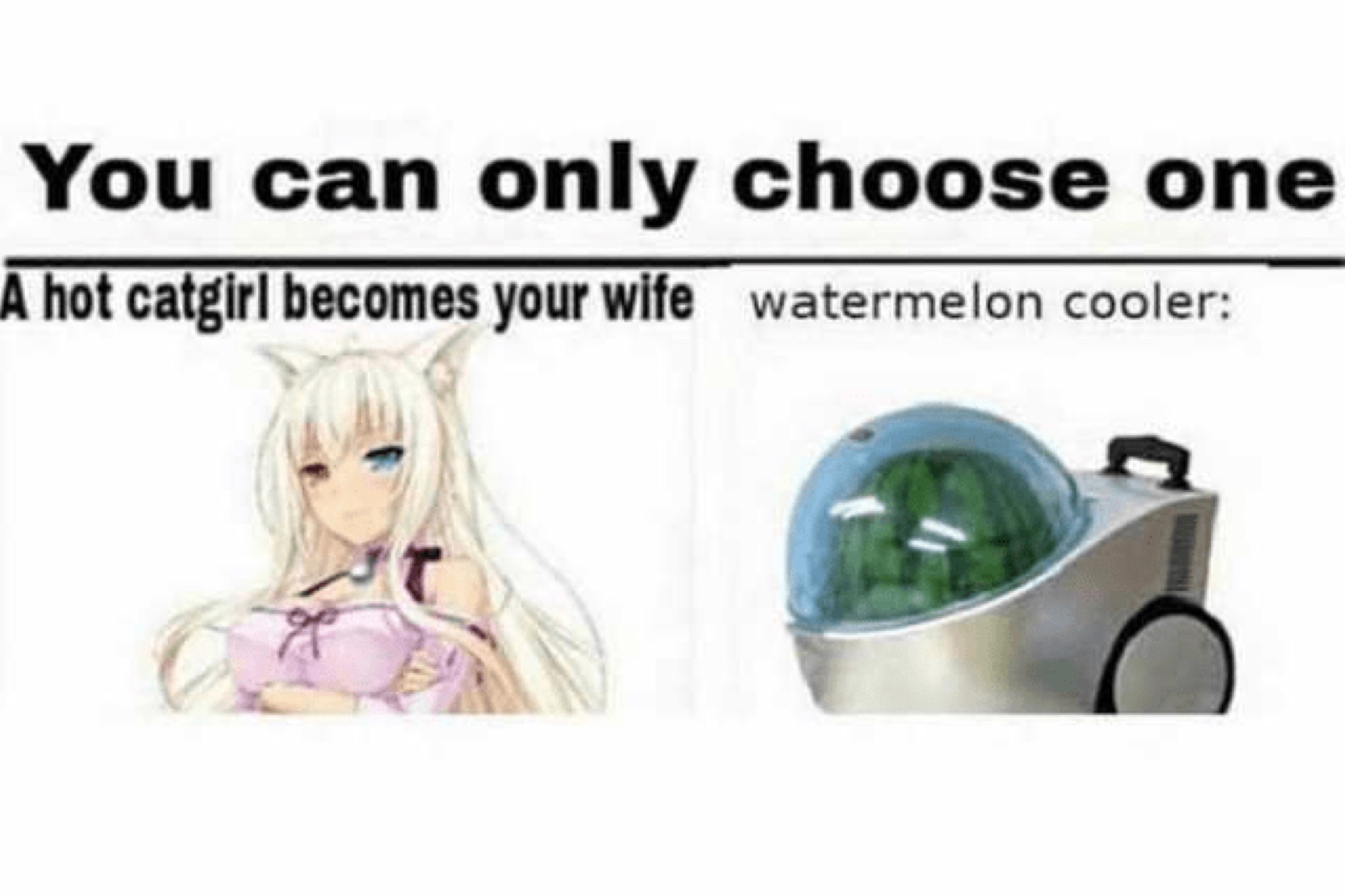 choose wisely - meme