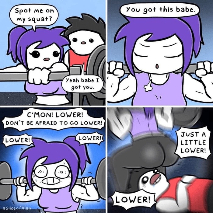 lower! - meme