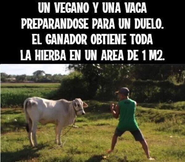 Vegano contra vaca - meme