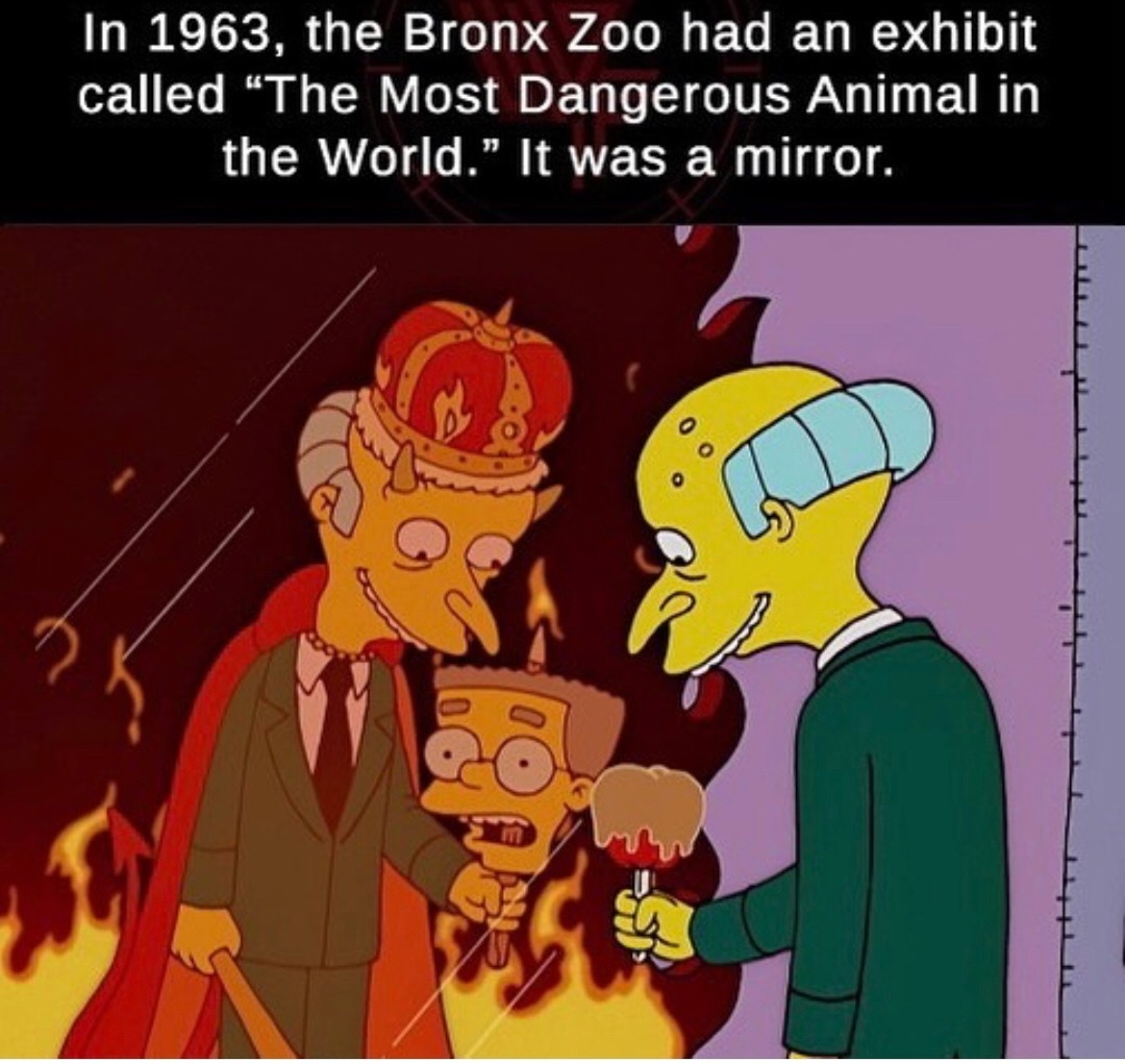 That human. Shimpanze speaks with Human meme