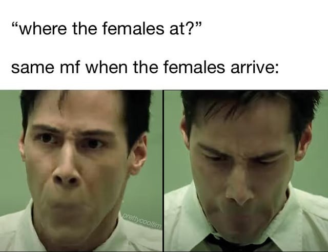 When the females arrive - meme