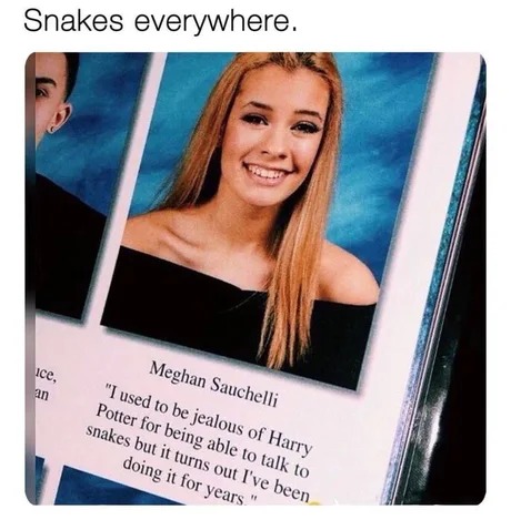 Snakes everywhere - meme