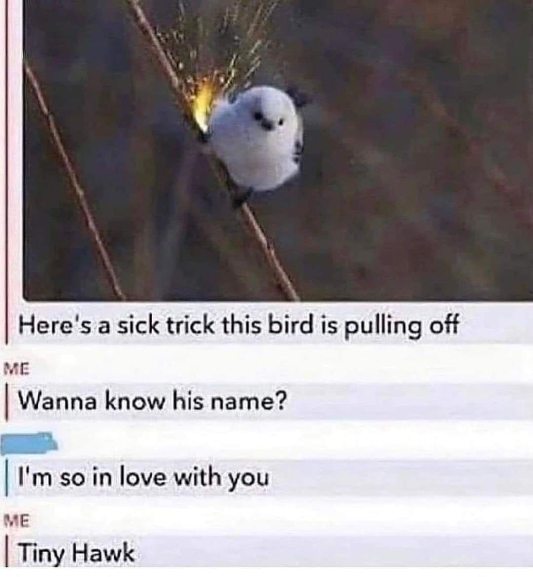 a classic meme