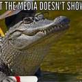 Alligators lives matter!