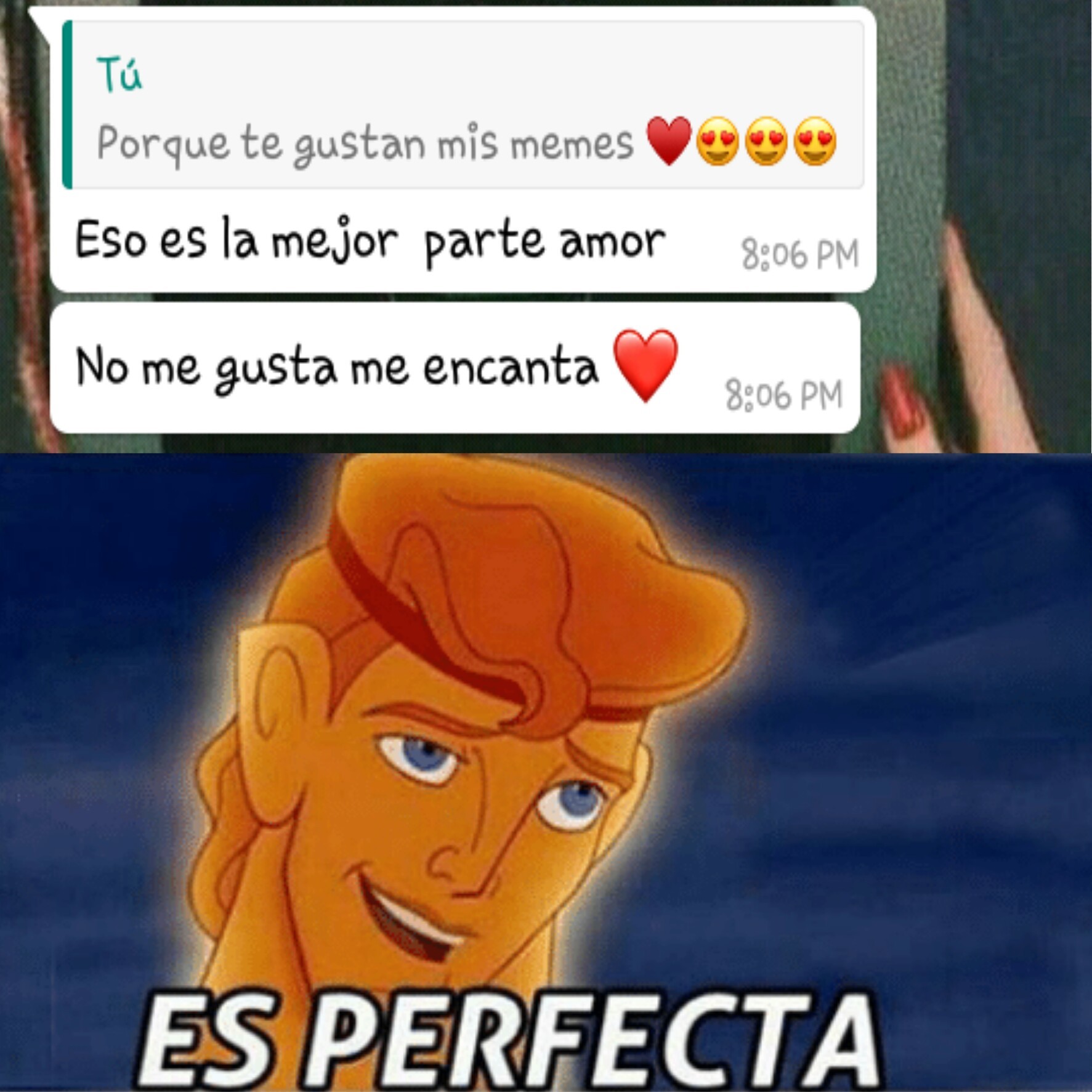 she is perfect :') - meme