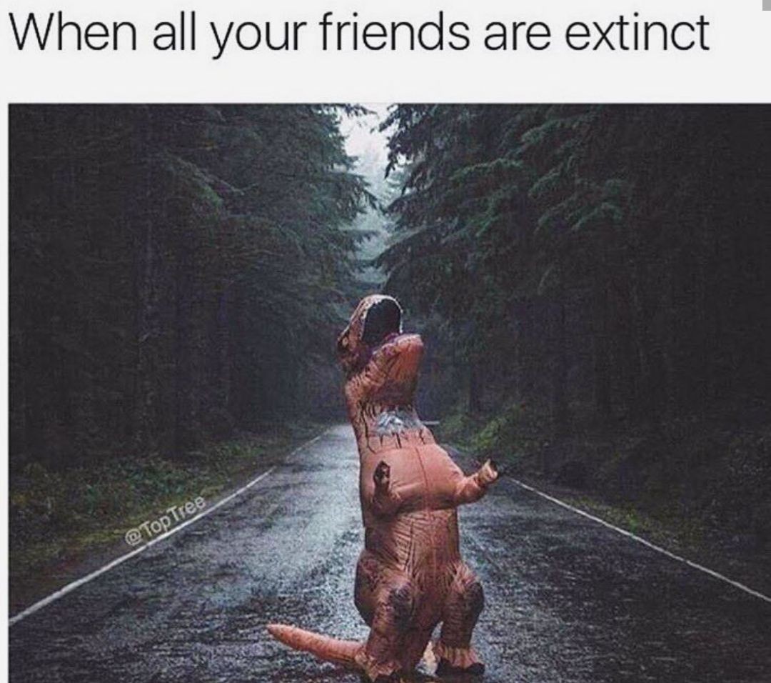 Lagrimas de dinosaro - meme