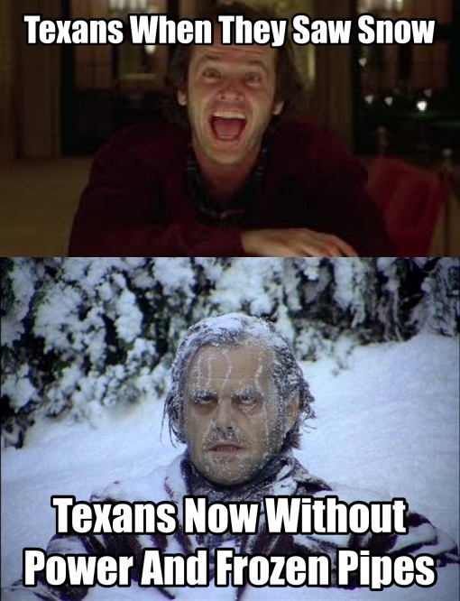 Texas wasn’t ready! - meme