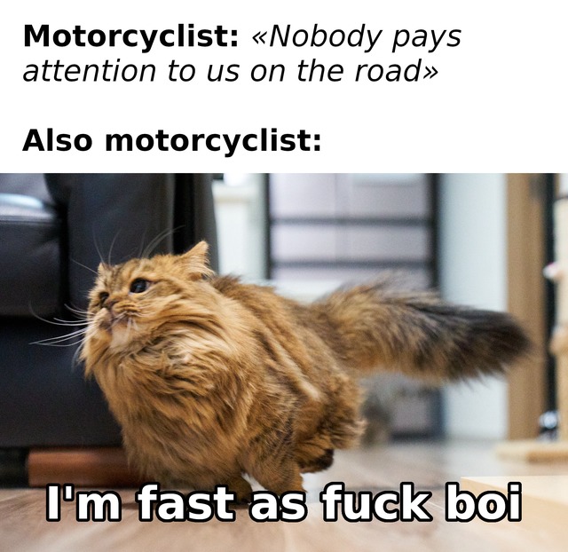 Motorcyclist meme