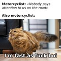 Motorcyclist meme