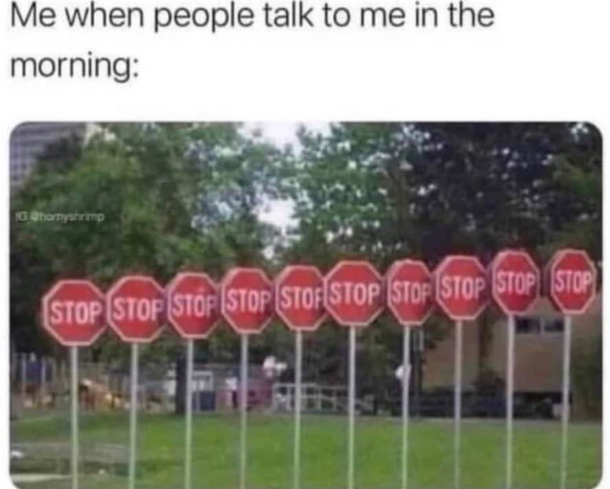 Stop talking to me in the morning - meme