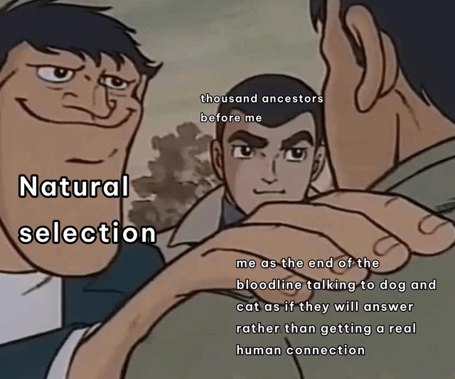 Natural selection meme
