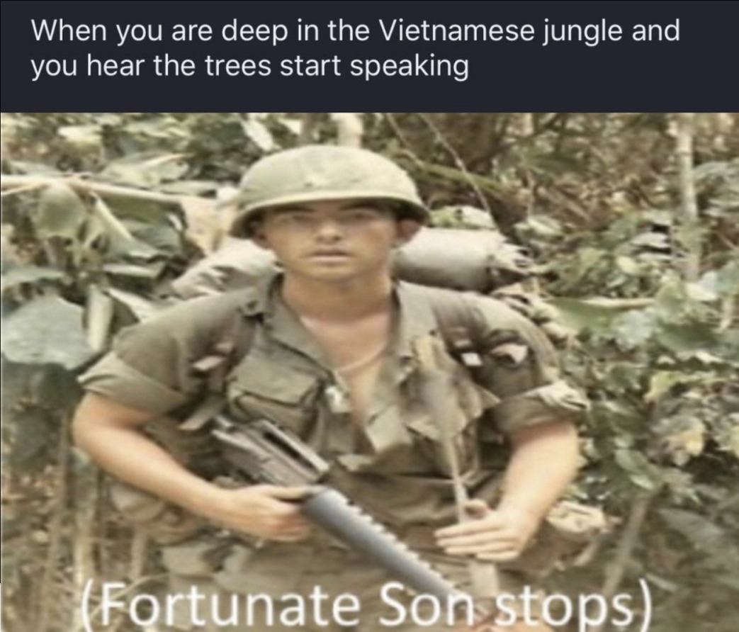 Vietnam - meme
