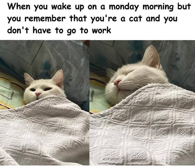 Ouf! I don't have to work - meme