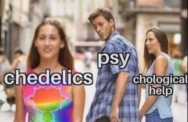 psychedelics all day long - meme