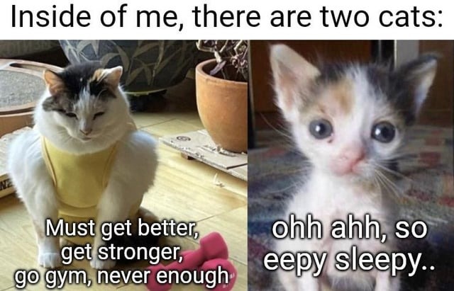 Inside of me there are two cats - meme