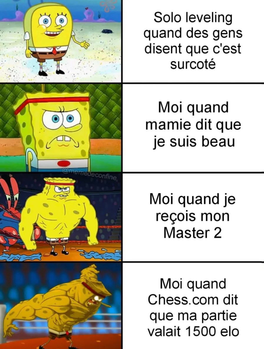 Solo Leveling est pas surcoté, t'es juste jaloux fréro - meme