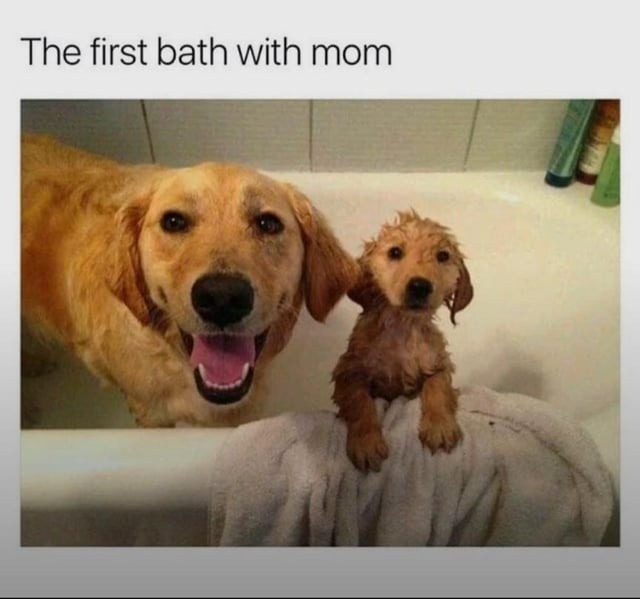 ﻿The first bath with mom