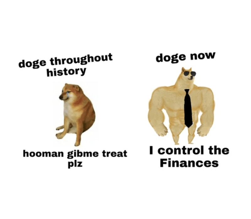dogecoin is on a downfall sadly - meme