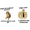 dogecoin is on a downfall sadly