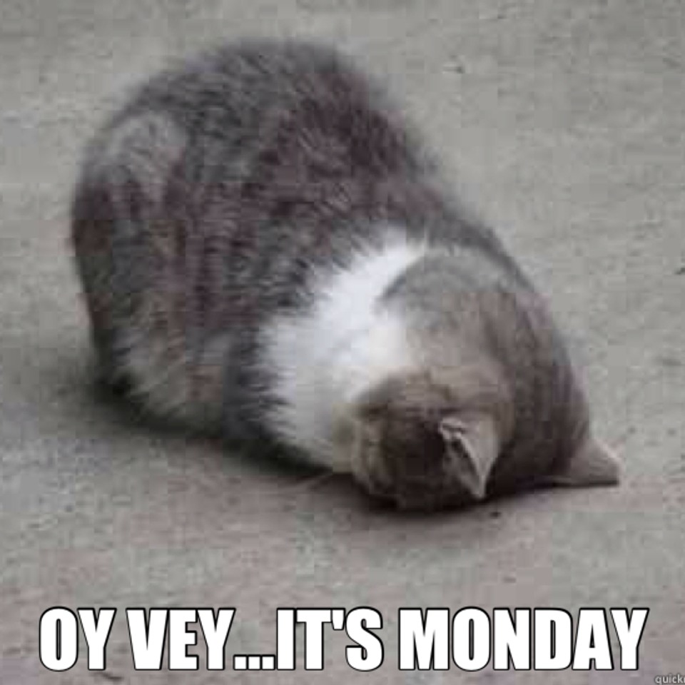 Its Monday all over again - meme