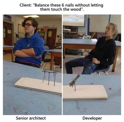 Architect vs developer - meme
