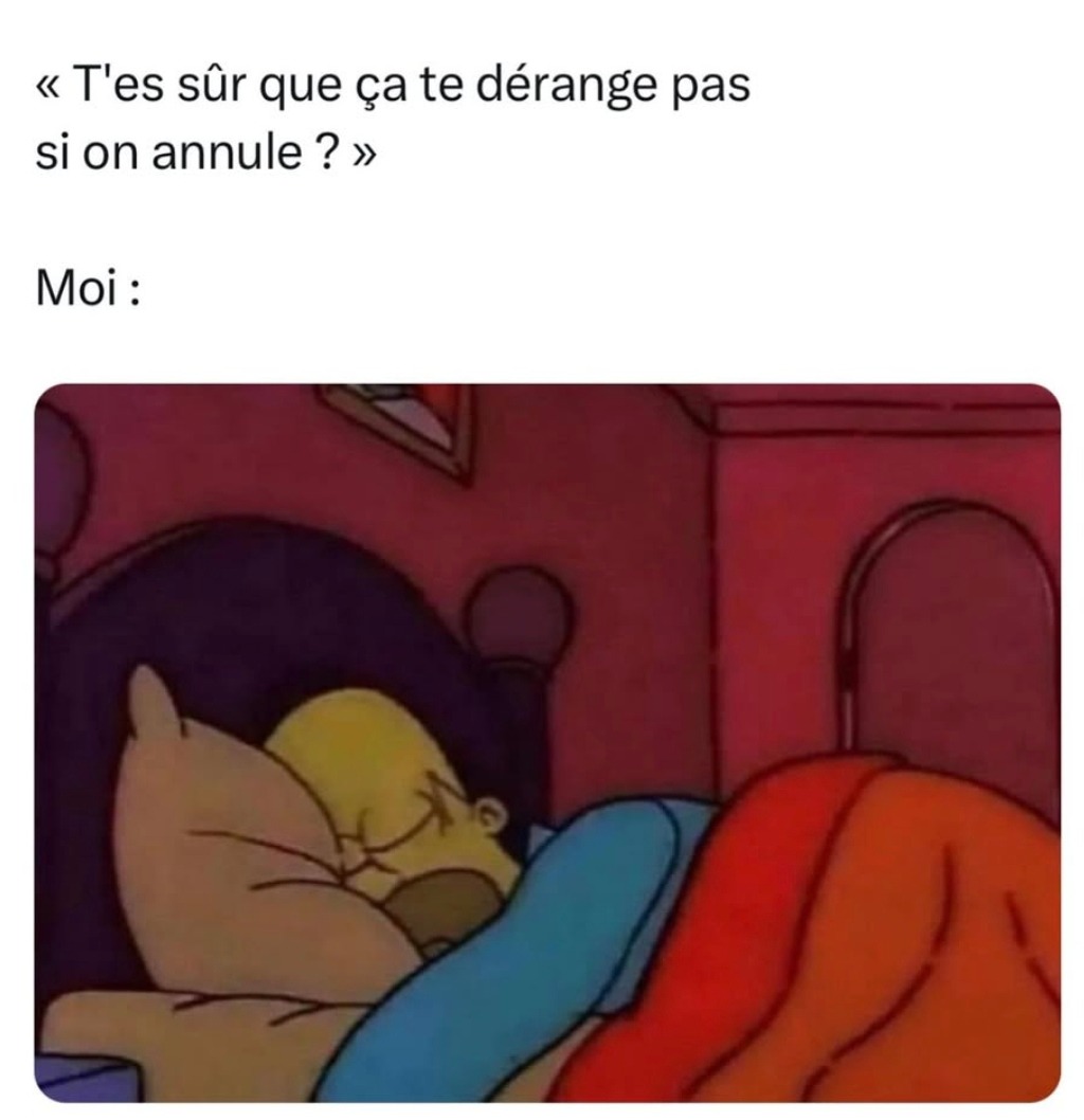 T’es sûr que ça te dérange pas si on annule ? – Moi : pas du tout - meme