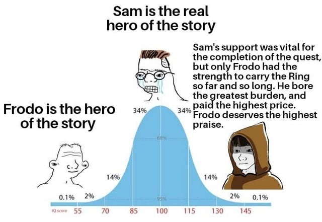 Sam carried Frodo and the story, don't play - meme