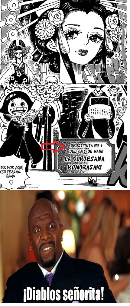 Cuando el manga de One Piece llega a otro nivel XDD - meme