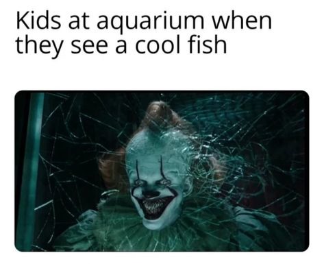 Yup.. That's why the fishes runs away.. - meme