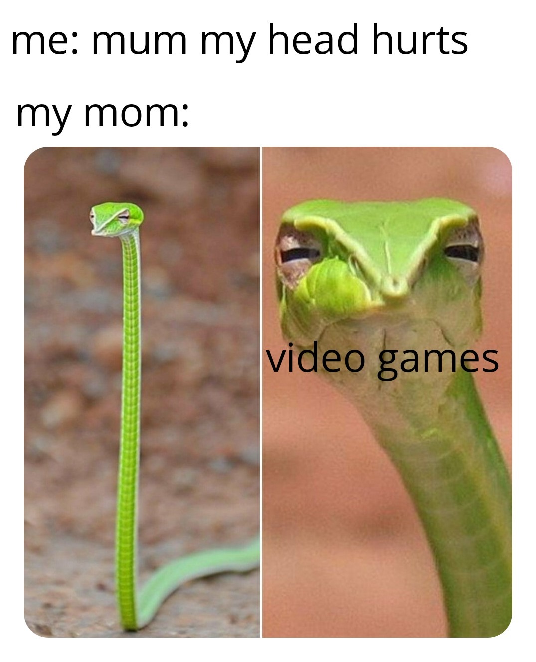 gamer moms - meme