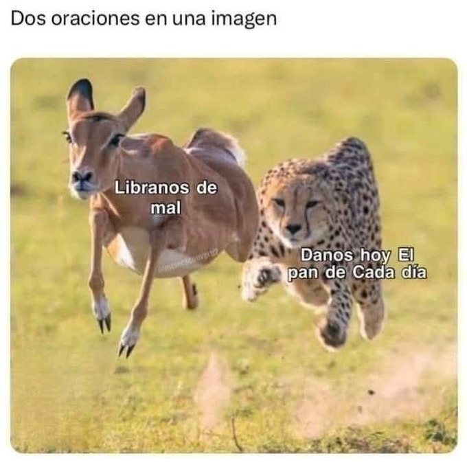 a quién ayudará dios? - meme