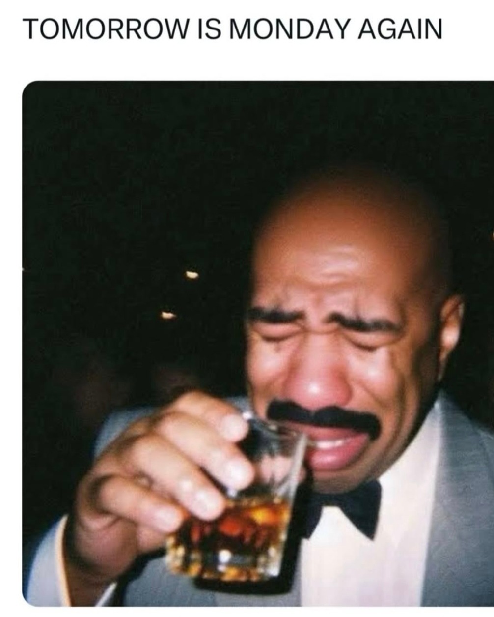 Tomorrow is Monday again and I’m not emotionally prepared - meme