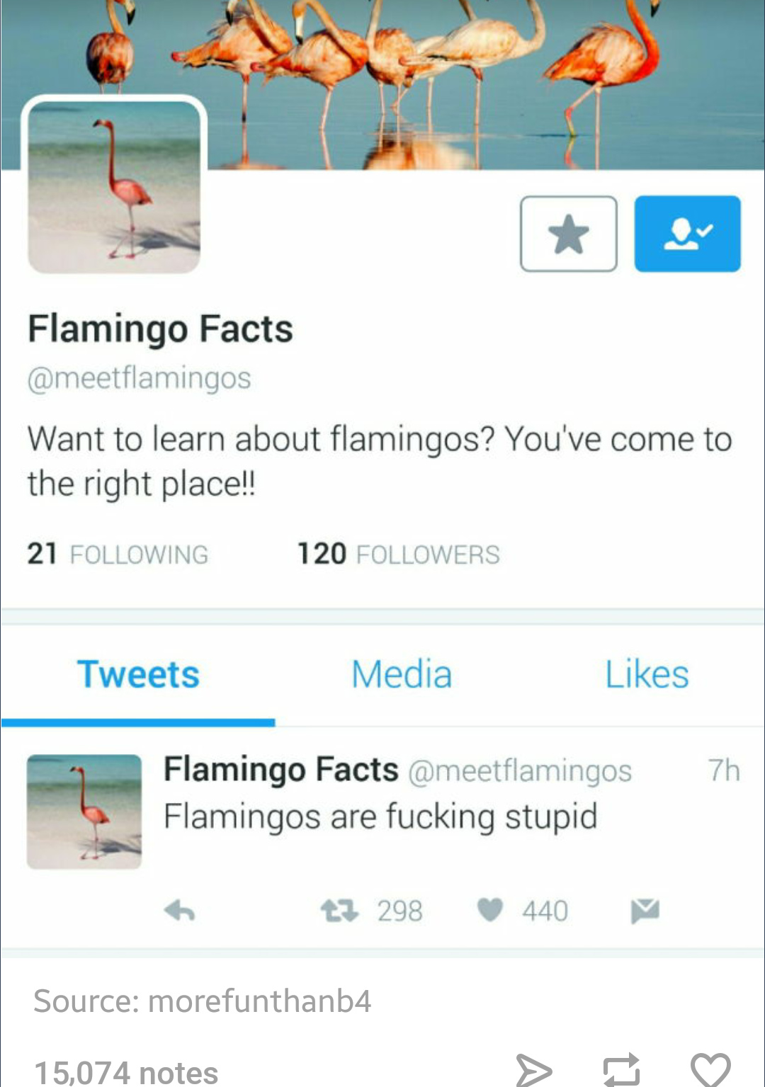 Flamin-go fuck yourself - meme