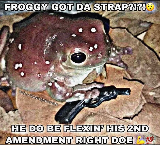 froggy packing - meme