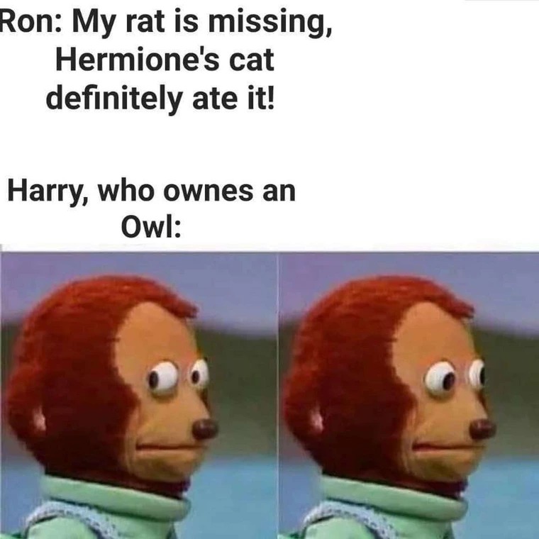 Harry Potter's owl - meme