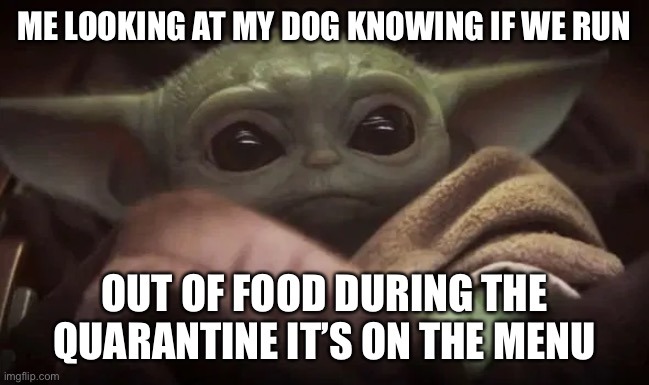 hungry yoda - meme