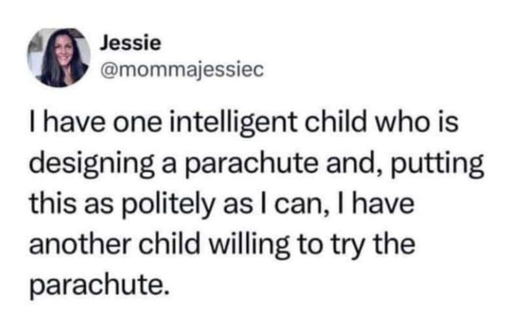 One kid builds the parachute, the other’s ready to jump - meme