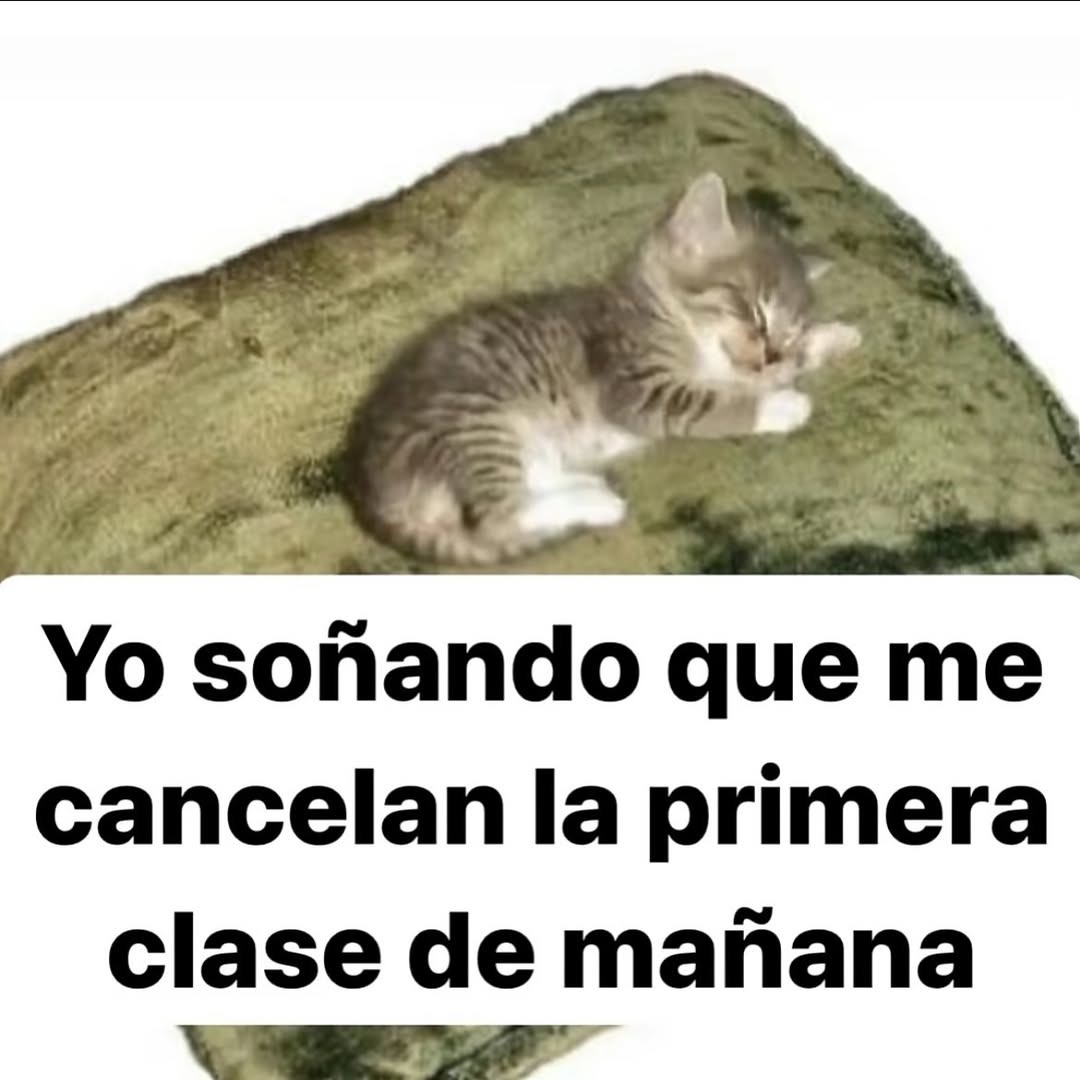 Soñé que cancelaban mi primera clase y fue hermoso - meme