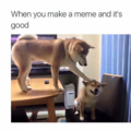 commented item thumbnail