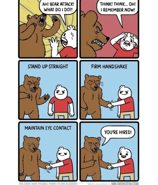 Bear - meme