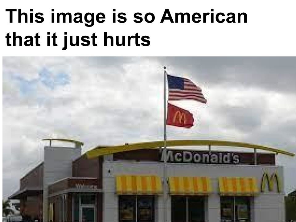 THIS IMAGE IS SO AMERICAN - meme