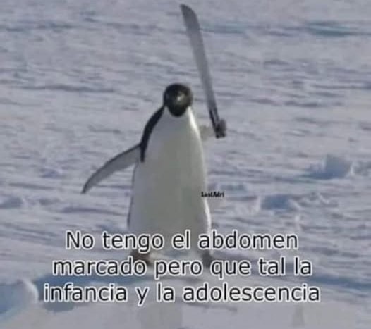 Pero está en mis propósitos de año nuevo 2025 - meme
