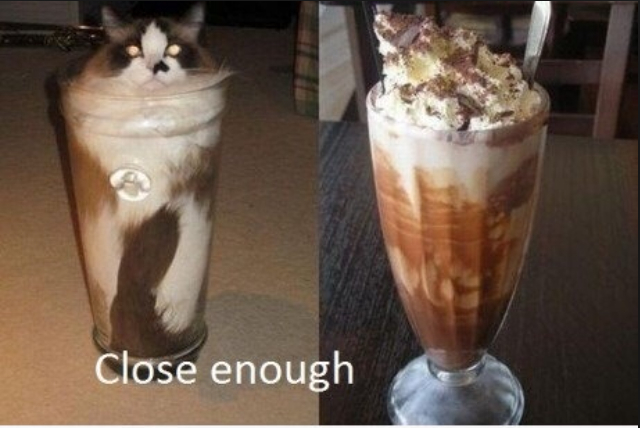 Milk shake de gato possuído :3 - meme