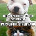 dogs and cats