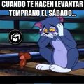 Tom y jerry