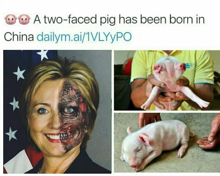 Hilary is a two faced pig - meme