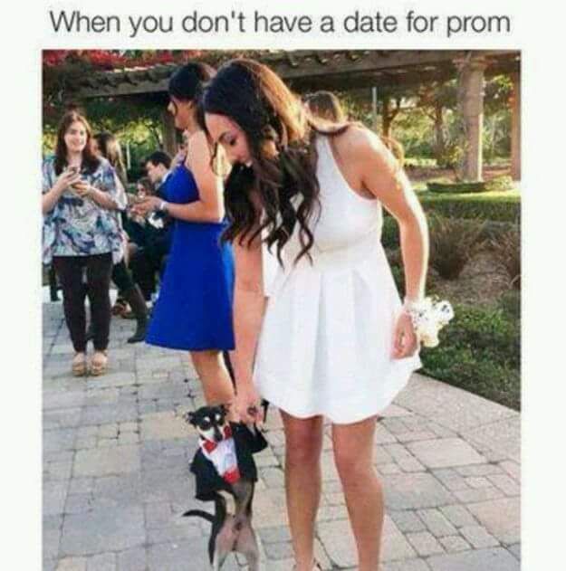 Prom Date - meme