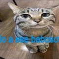 commented item thumbnail