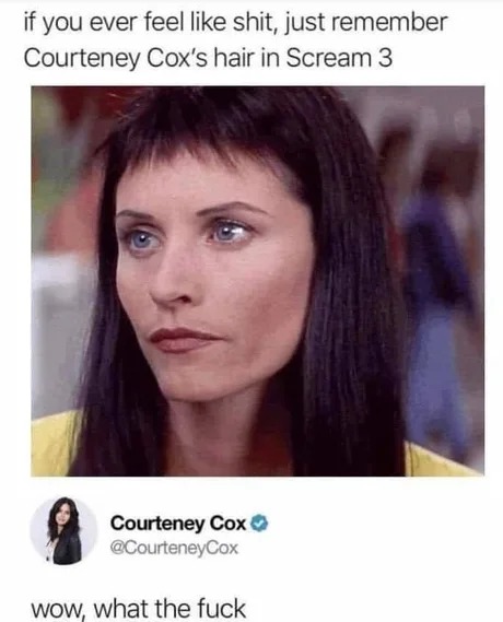 Courteney Cox's hair in Scream 3 - meme
