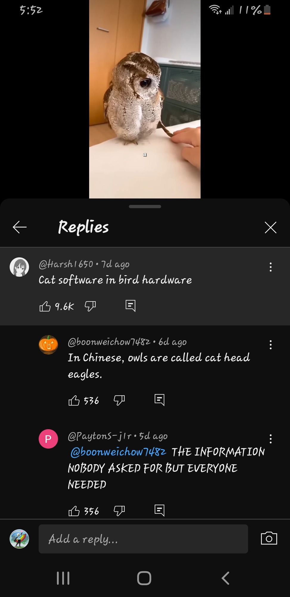CAT. FUCKING. HEAD. EAGLES. MY LIFE IS COMPLETE. - meme
